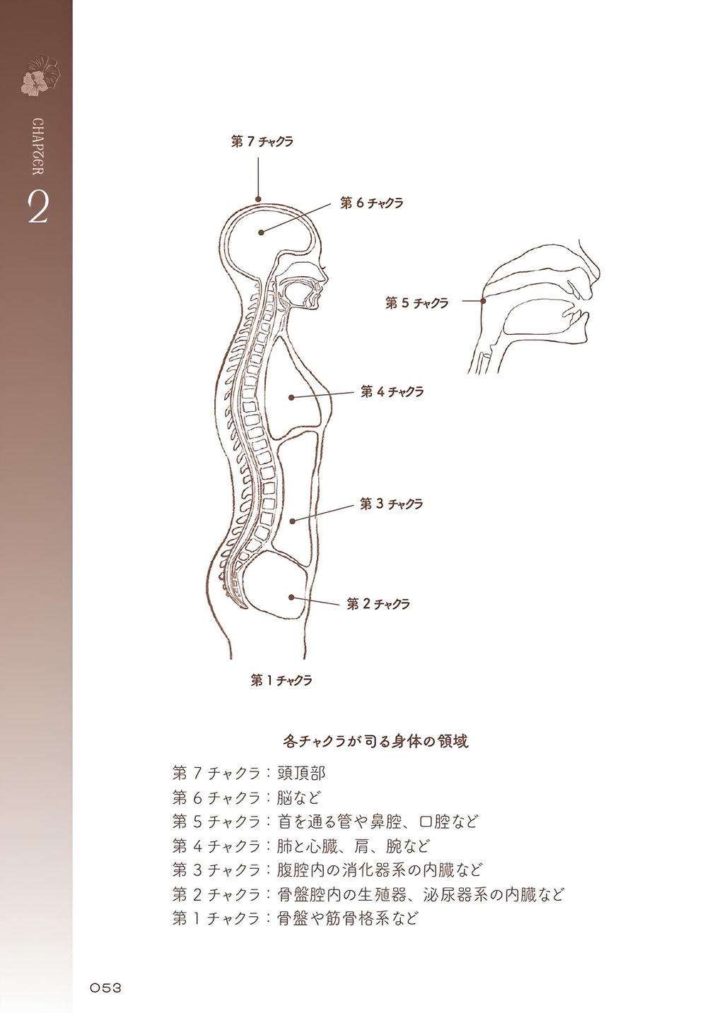 【限定】チャクラの教科書 特装版｜著者サイン本